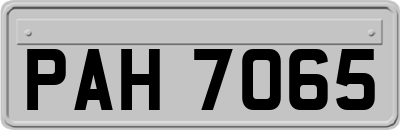 PAH7065