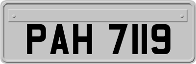 PAH7119