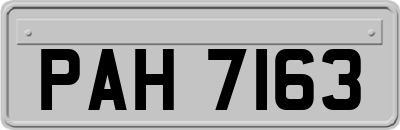 PAH7163