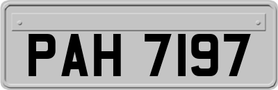 PAH7197