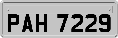PAH7229