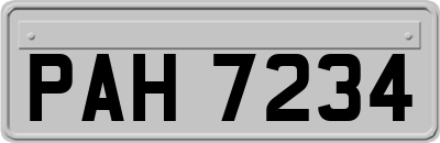 PAH7234