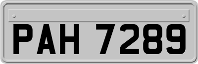 PAH7289