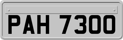 PAH7300
