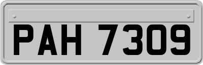 PAH7309