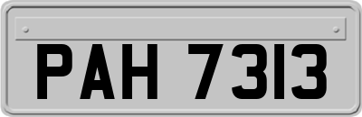PAH7313
