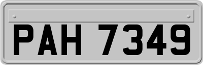 PAH7349