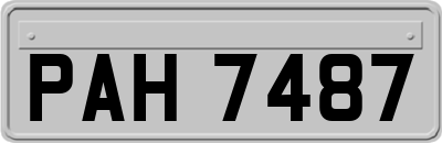 PAH7487