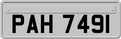PAH7491
