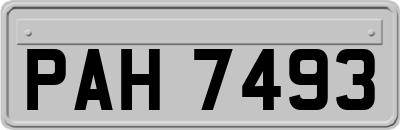 PAH7493