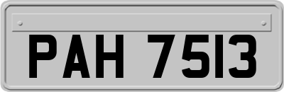 PAH7513