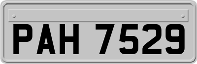 PAH7529