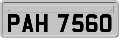 PAH7560