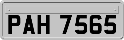 PAH7565