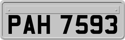 PAH7593