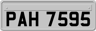 PAH7595