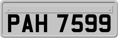 PAH7599