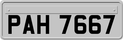 PAH7667
