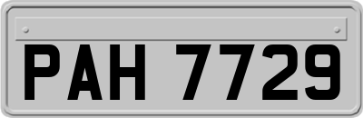 PAH7729