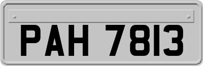 PAH7813