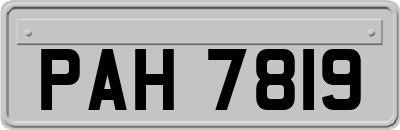 PAH7819
