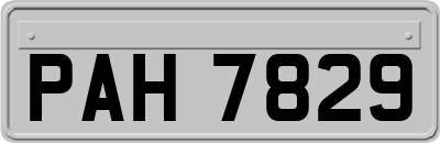PAH7829