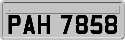 PAH7858