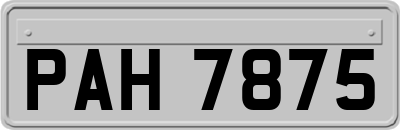 PAH7875