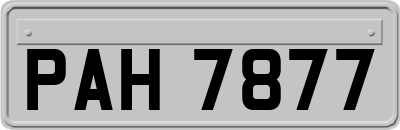 PAH7877