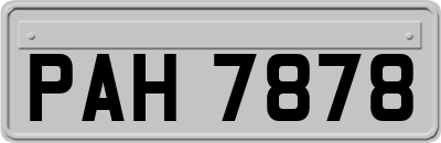 PAH7878