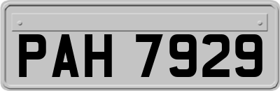 PAH7929