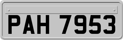 PAH7953