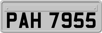 PAH7955