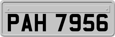 PAH7956