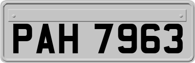 PAH7963