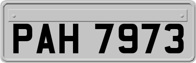 PAH7973