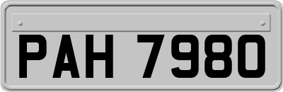 PAH7980