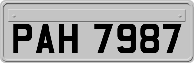 PAH7987