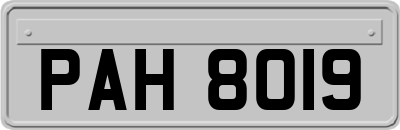 PAH8019