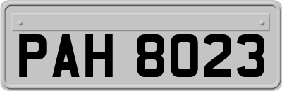 PAH8023