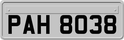 PAH8038