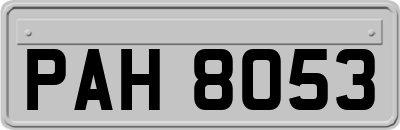 PAH8053