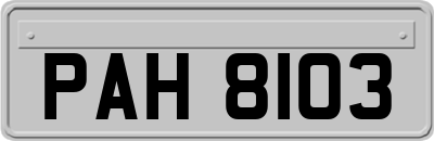 PAH8103