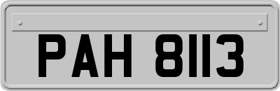 PAH8113