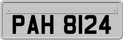 PAH8124