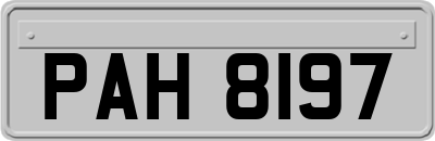PAH8197