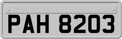 PAH8203