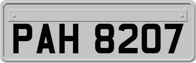 PAH8207