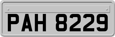 PAH8229