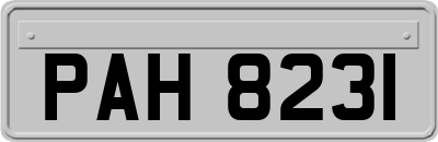 PAH8231